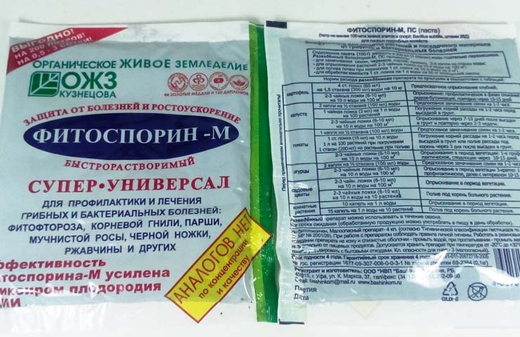 Выращивание томатов в теплице из поликарбоната: от посадки до сбора урожая