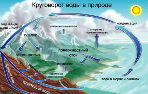 Почему идет дождь, как он образуется и что еще нужно знать об этом природном явлении