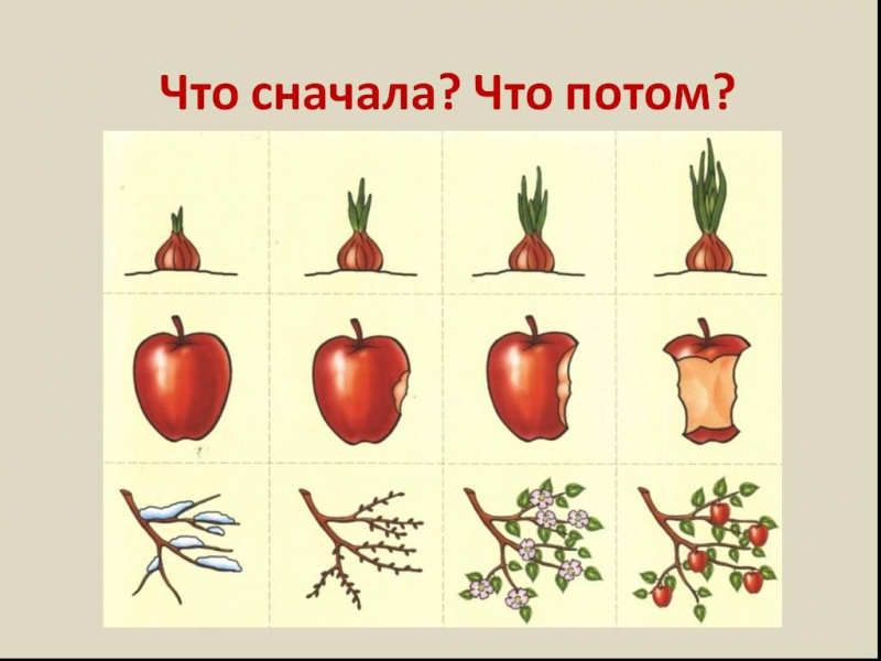 Играем, &laquo;читая&raquo; виммельбух