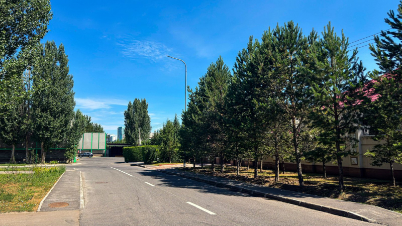 Золотой унитаз и бассейн - в Астане продают особняк почти за миллиард тенге